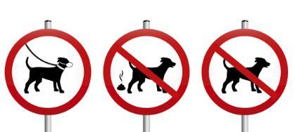 Imagen Ordenanza para el cuidado y atención de los animales domésticos en Estada.